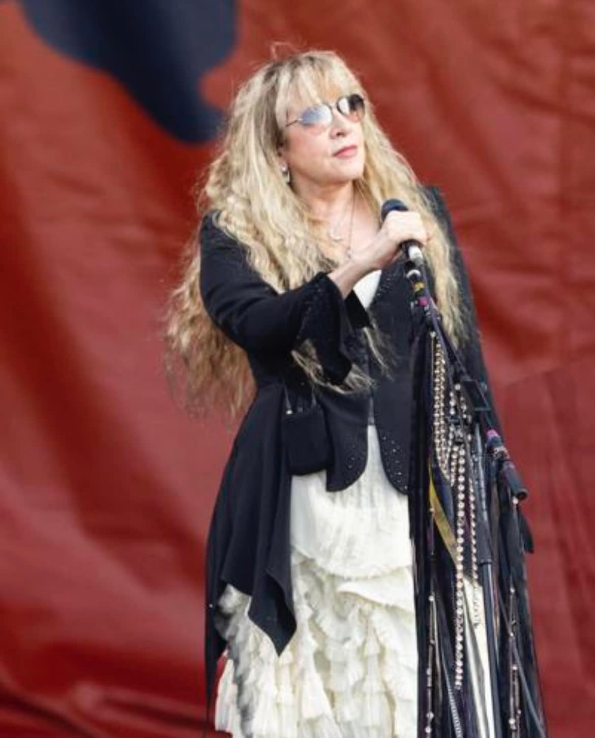 Stevie Nicks